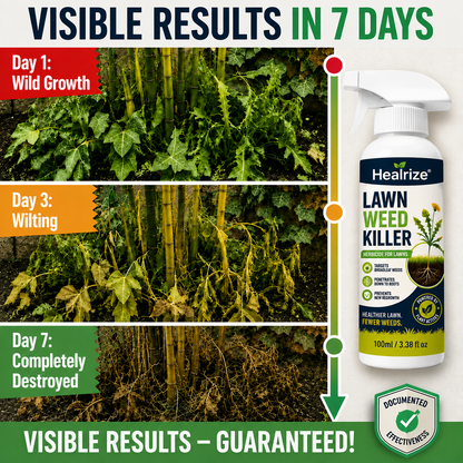 ⚡⚡⚡LAST 44 PCS LEFT!!! ⚡ [Easy and stress-free weeding in the garden] Herbicide for domestic use