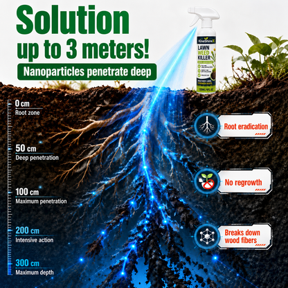 ⚡ [Easy & Stress-Free Yard Cleanup] Domestic Weed Killer Spray | Fast-Acting Root Remover for Garden, Patio & Driveway